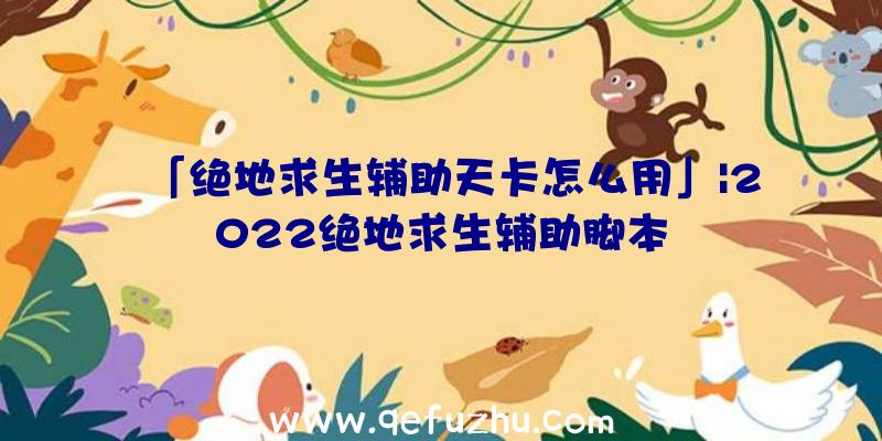 「绝地求生辅助天卡怎么用」|2022绝地求生辅助脚本